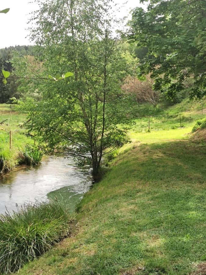 Ferienwohnung Am Salzbach Lemberg Exteriör bild